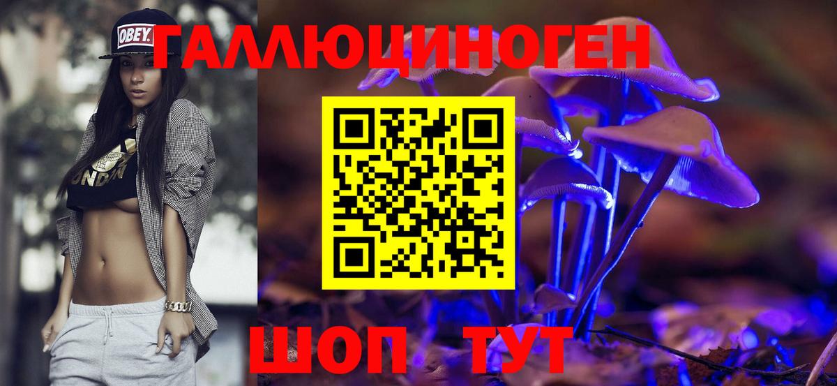 Галлюциногенные грибы MAGIC MUSHROOMS  Псилоцибиновые грибы ЛСД  Самара  Вход с VPN 